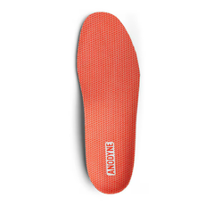 ANODYNE No. 110 Standard Multi Density Orthotics for Men