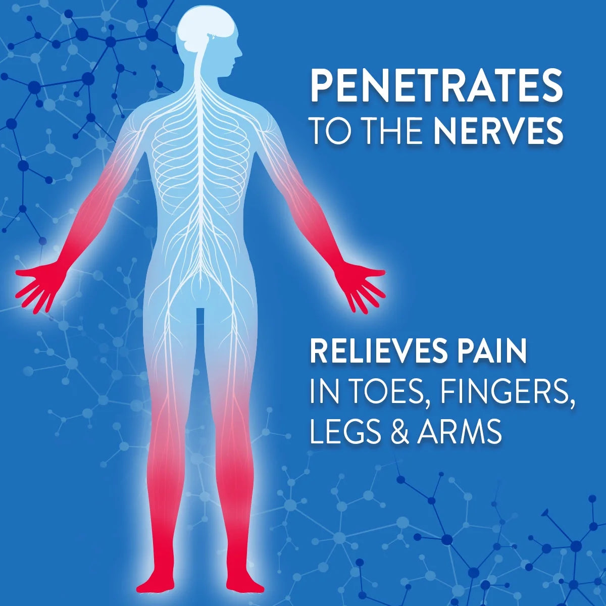 Nervive Nerve Care, Pain Relieving Roll On, Topical Pain Relief for Nerve Pain with Lidocaine and Menthol, 2.5 oz