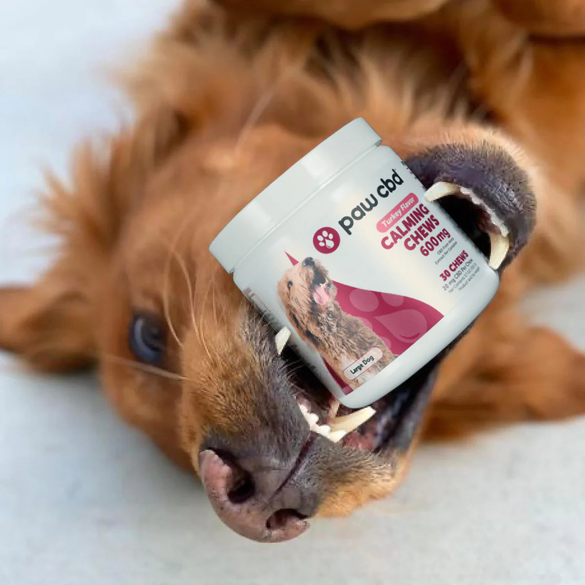 cbdMD Broad Spectrum CBD Dog Calming Chews