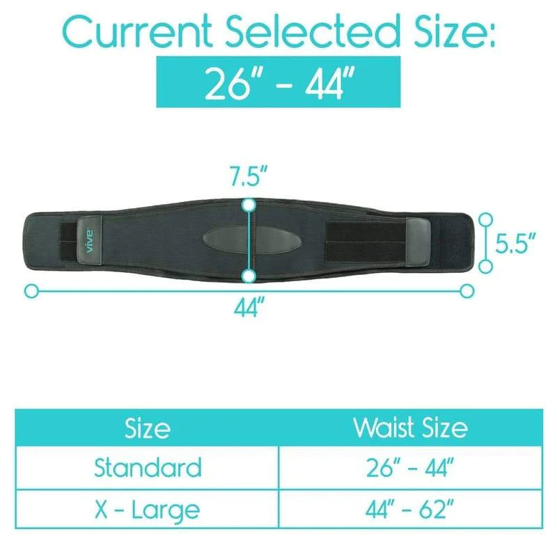 Vive Back Brace